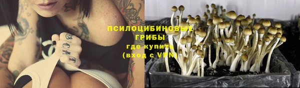 а пвп мука Кулебаки