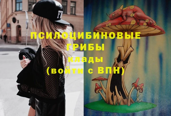 шишки Куйбышев
