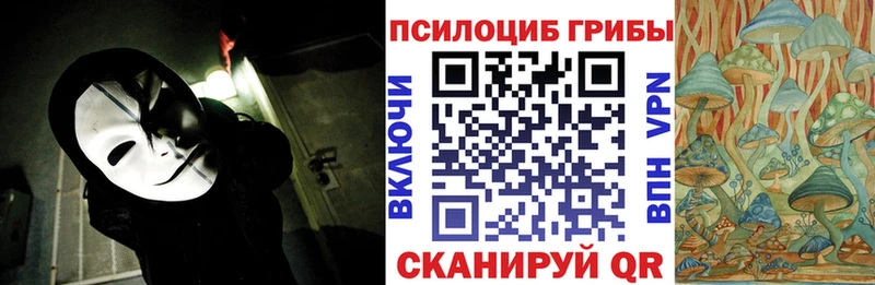 Галлюциногенные грибы Magic Shrooms  Купить  Ногинск